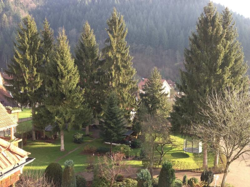 Hotel Garni Cafe Schacher Oberwolfach Exterior foto